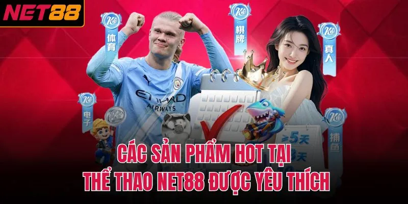 Các sản phẩm hot tại thể thao NET88 được yêu thích