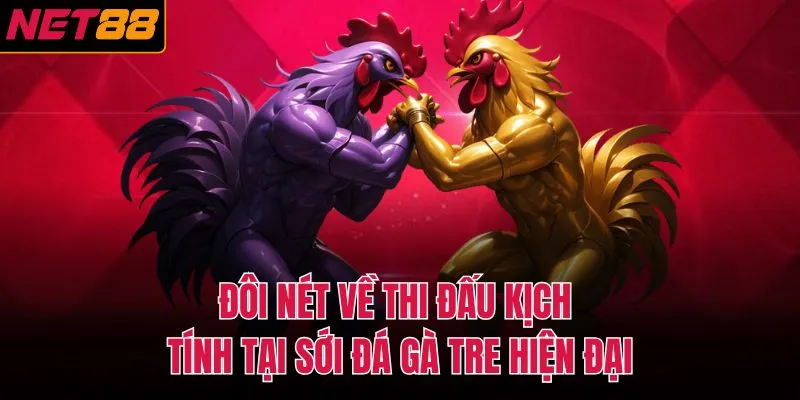 Đôi nét về thi đấu kịch tính tại sới đá gà tre hiện đại