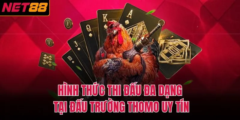 Hình thức thi đấu đa dạng tại đấu trường Thomo uy tín