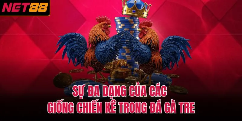 Sự đa dạng của các giống chiến kê trong đá gà tre