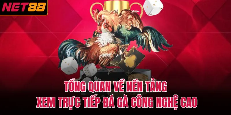 Tổng quan về nền tảng xem trực tiếp đá gà công nghệ cao