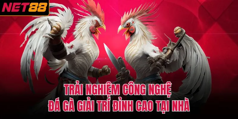 Trải nghiệm công nghệ đá gà giải trí đỉnh cao tại nhà 
