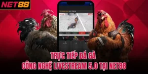 trực tiếp đá gà