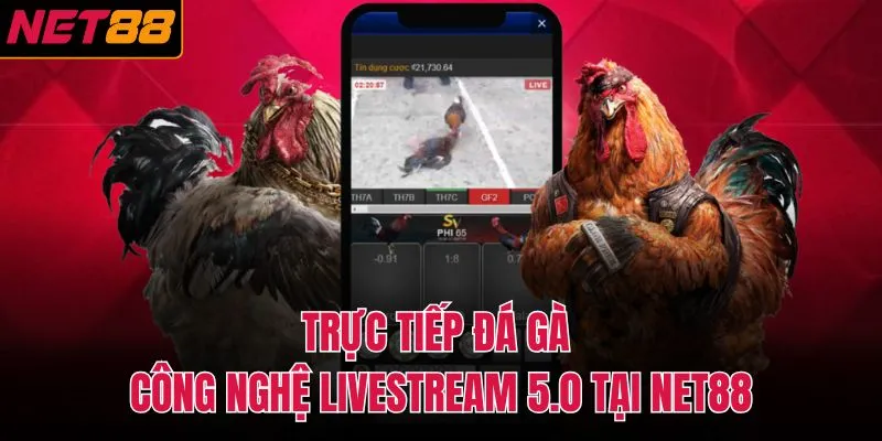 trực tiếp đá gà